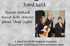 kuulutusvilla-1